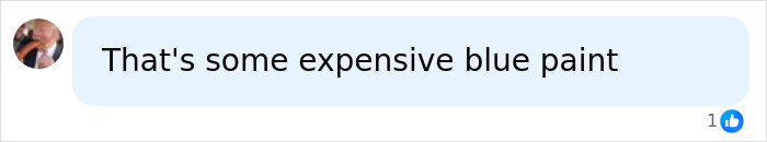 User criticizes Trump $14 million project for expensive blue paint User criticizes Trump $14 million project for expensive blue paint