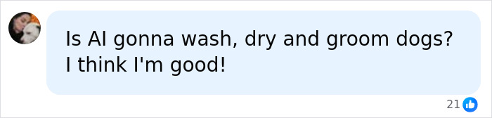 A social media comment asking if AI will wash, dry, and groom dogs, suggesting careers are safe from AI.