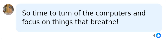 A social media comment suggesting turning off computers to focus on things that breathe, implying a break from AI's impact on jobs.