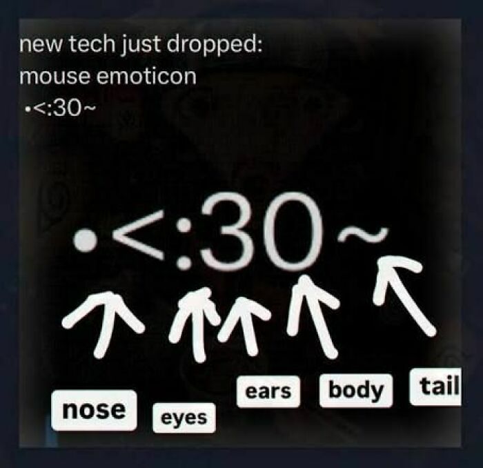 A black image showing a new mouse emoticon made of symbols, with arrows pointing to its nose, eyes, ears, body, and tail. This meme feels like a fever dream.