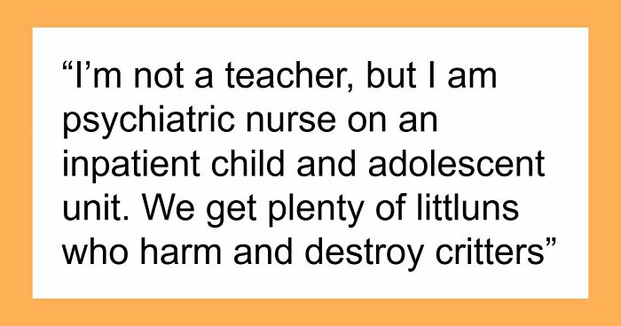 45 Teachers Recall The Most Horrifying Psychopathic Behavior That Primary Kids Have Displayed