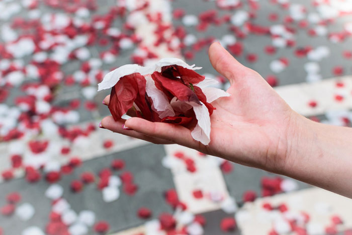 Hand holding fake red and white rose petals scattered on the ground
