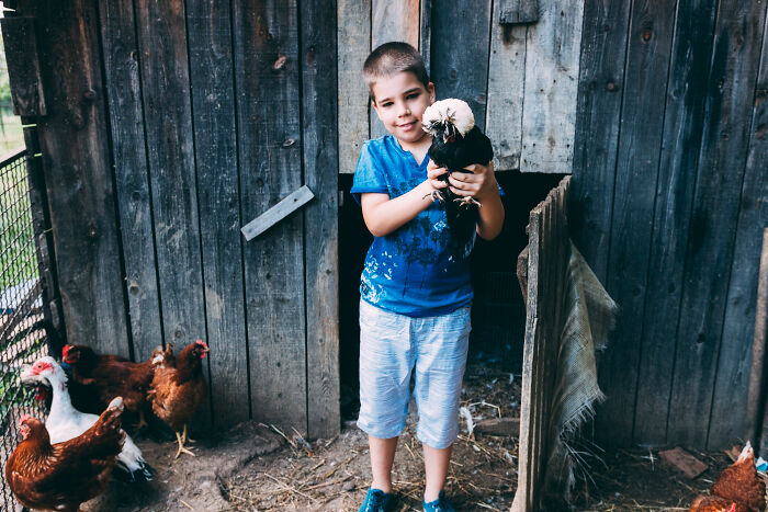 Boy holding chicken near a rustic coop illustrating psychopath traits