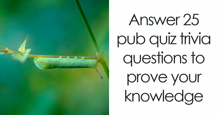 Put Your General Knowledge To The Ultimate Test In This 25-Question Pub Quiz