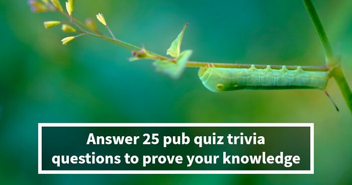 Put Your General Knowledge To The Ultimate Test In This 25-Question Pub Quiz