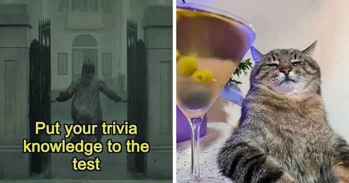 Put Your General Knowledge To The Ultimate Test In This 25-Question Pub Quiz
