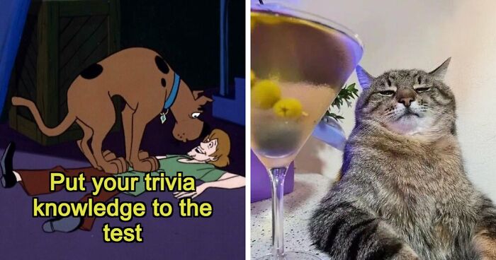 Put Your General Knowledge To The Ultimate Test In This 25-Question Pub Quiz