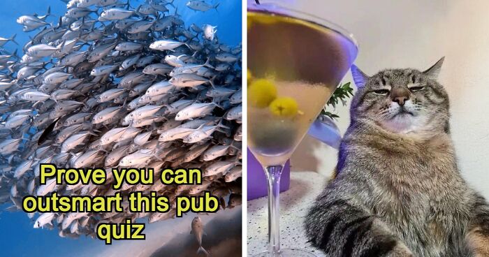 Put Your General Knowledge To The Ultimate Test In This 25-Question Pub Quiz