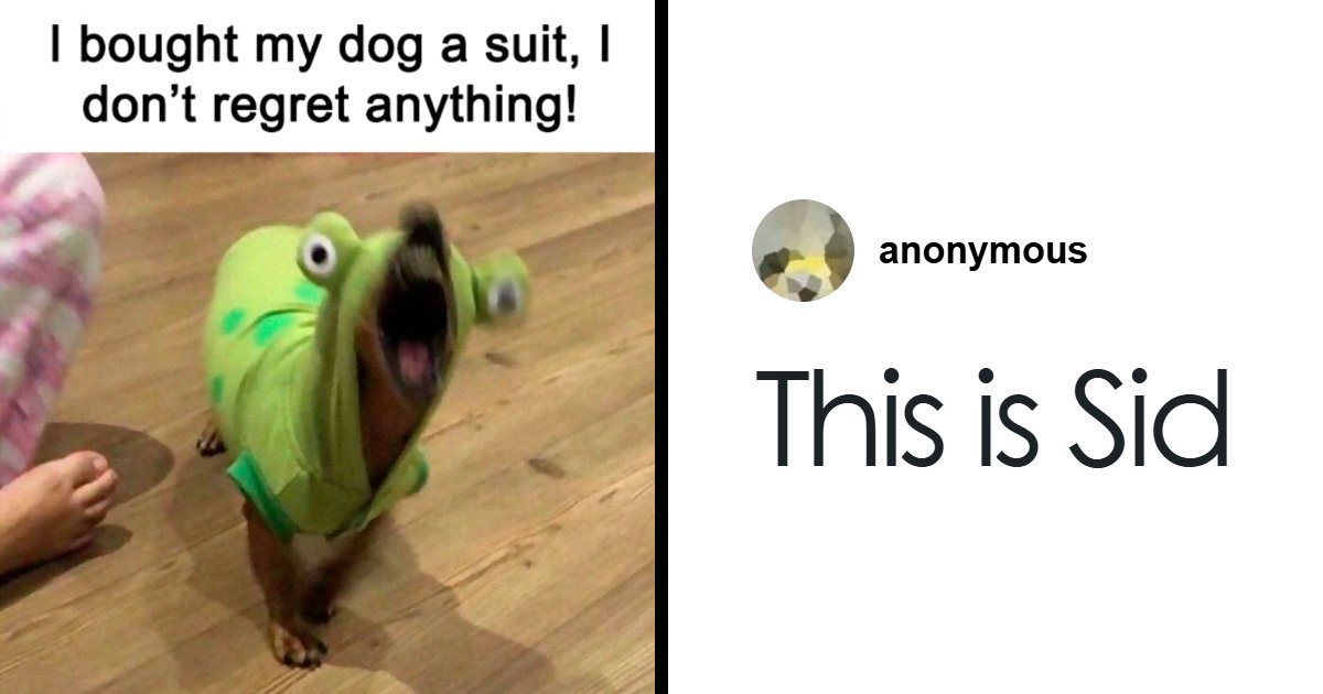 64 Funny Silly Memes To Brighten Your Day With Some Lighthearted Humor