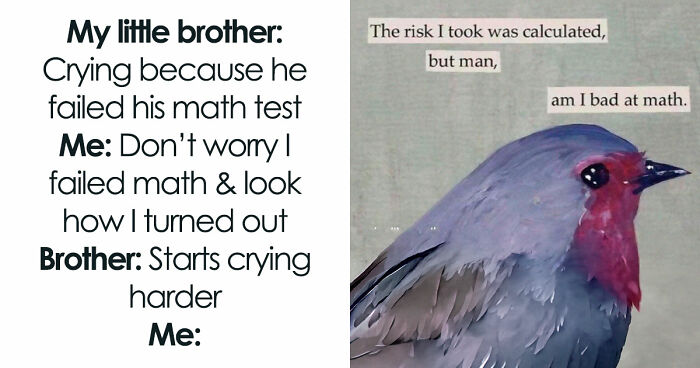 64 Funny Silly Memes To Brighten Your Day With Some Lighthearted Humor