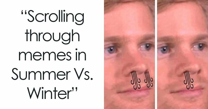 64 Funny Silly Memes To Brighten Your Day With Some Lighthearted Humor
