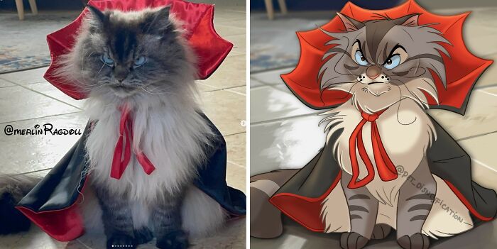 An artist Disneyfies pets: a fluffy cat wearing a vampire cape, Disneyfied into an angry cartoon cat.