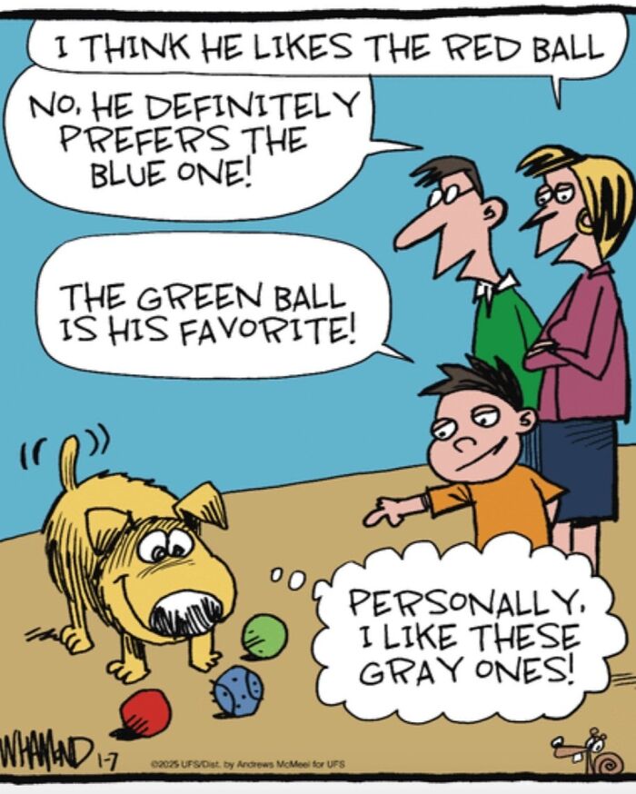 Clever comics by Dave Whamond perfectly capture human nature; a family debates a dog's favorite ball.