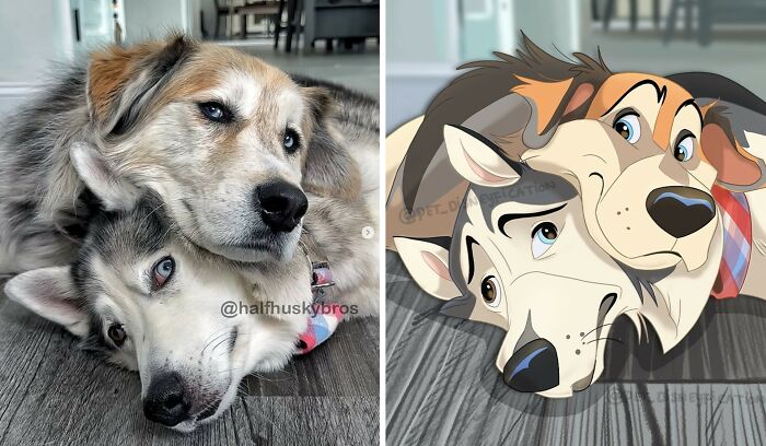 An artist Disneyfies pets: two husky dogs cuddling on the floor, Disneyfied into cartoon characters.