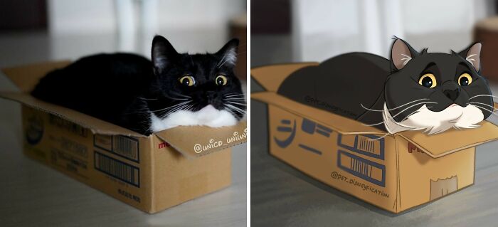 An artist Disneyfies pets: a black and white tuxedo cat sitting in a cardboard box, Disneyfied.
