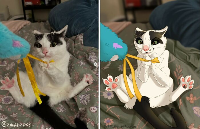 Original photo and Disneyfied version of a black and white cat playing with a yellow ribbon, artist Disneyfies pets.
