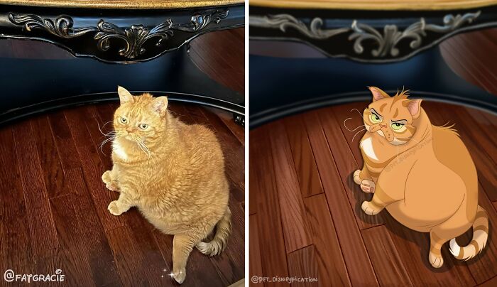 Original photo and Disneyfied version of a grumpy orange cat sitting on a wooden floor, custom pet art.