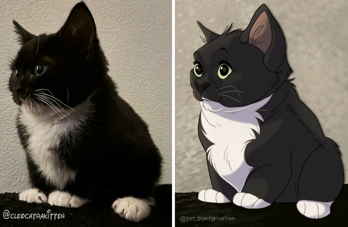 A black and white kitten sitting, Disneyfied with large green eyes, showcasing Disneyfies pets.