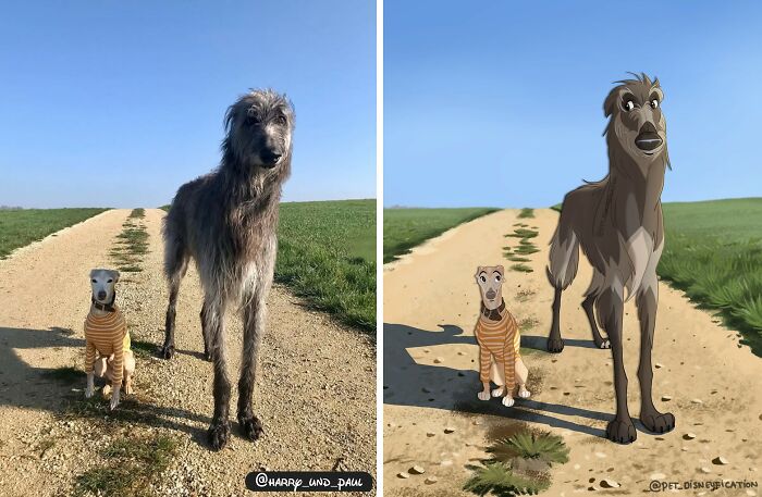 Two dogs on a dirt path, one large grey and one small fawn, Disneyfied in a cartoon style, showcasing Disneyfies pets.