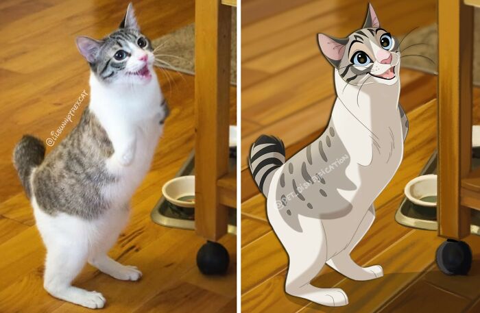A white and tabby cat standing on hind legs, Disneyfied with an excited expression, showcasing Disneyfies pets.