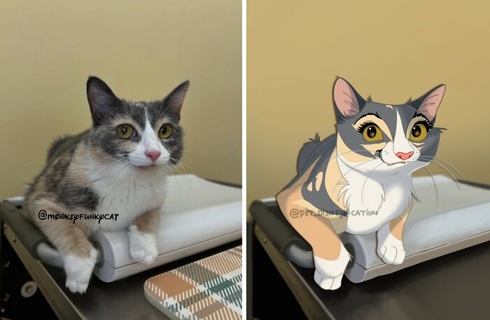 A calico cat with grey, orange, and white fur sitting on a scale, Disneyfied with a cute, smiling expression.