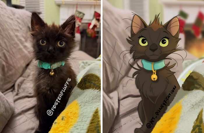 A fluffy black kitten wearing a turquoise collar with a bell, Disneyfied into an animated character with large green eyes.