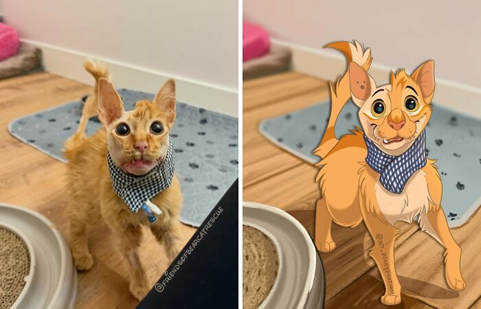 An orange tabby cat, wearing a blue and white checkered bandana, Disneyfied with big eyes and a happy expression.