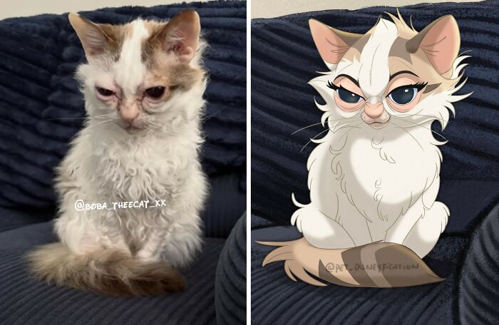 An artist disneyfies a pet cat, transforming its photo into a sassy cartoon character.