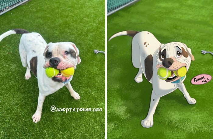 An artist disneyfies a pet dog holding tennis balls, transforming its photo into a fun cartoon character.