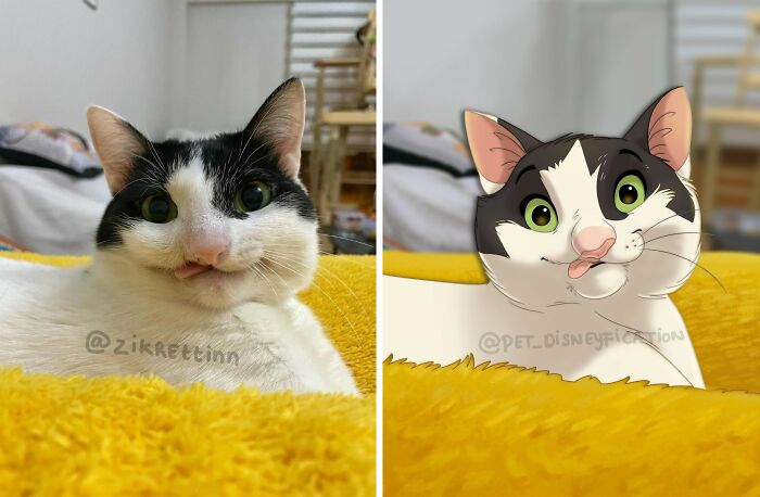An artist disneyfies a pet cat, transforming its photo into a playful cartoon character.