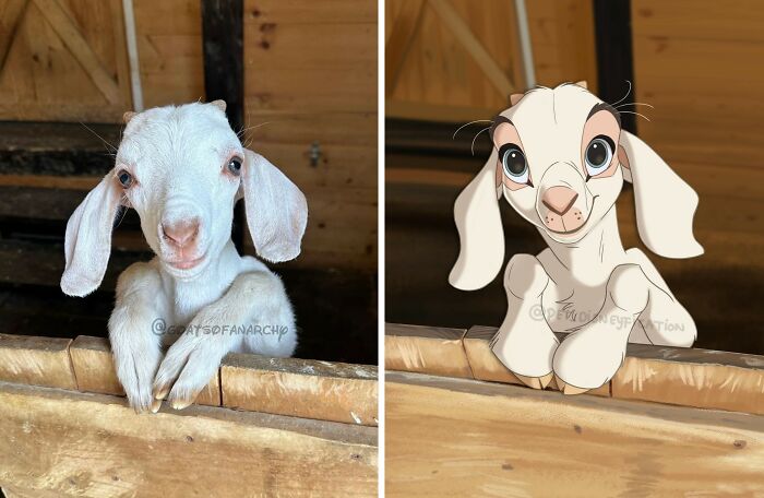 An artist disneyfies a pet goat, transforming its photo into a cute cartoon character.