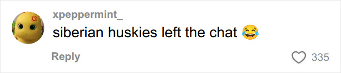 Text comment about noisy dog breeds on social media