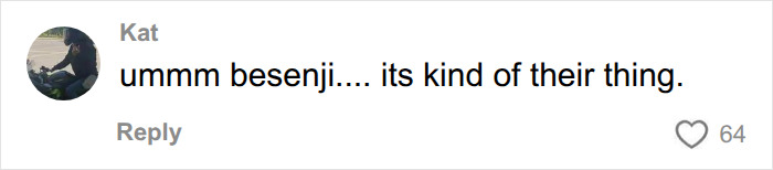 Comment about Besenji being quiet dog breed