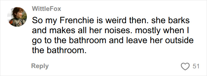 Comment on Frenchie barking behavior