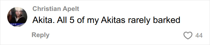 Comment on Akitas rarely barking