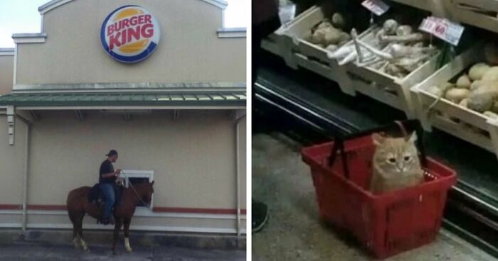 73 Cursed Images That Will Probably Refuse To Leave Your Mind For A While (New Pics)