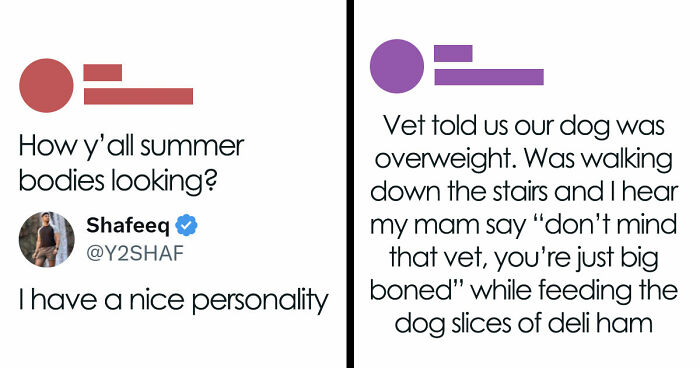 85 Funny Memes To Give Your Brain A Well-Deserved Mini Vacation