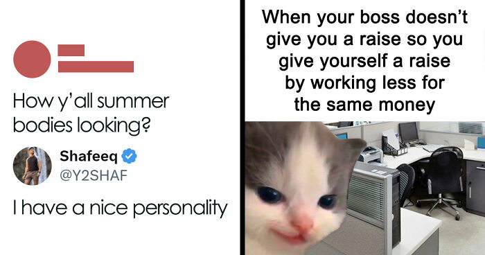 85 Funny Memes To Give Your Brain A Well-Deserved Mini Vacation