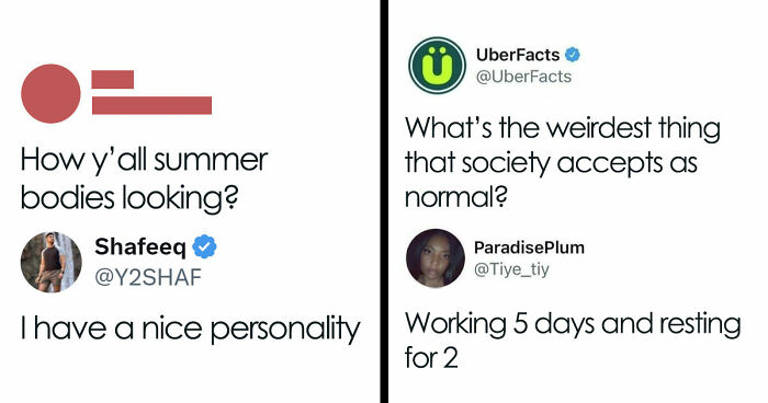 85 Funny Memes To Give Your Brain A Well-Deserved Mini Vacation