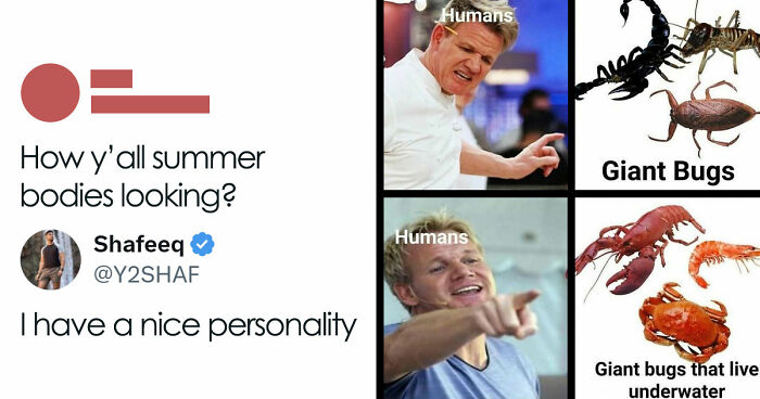 85 Funny Memes To Give Your Brain A Well-Deserved Mini Vacation