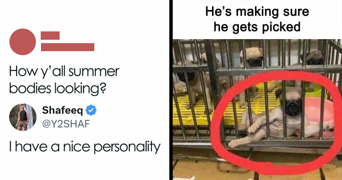 85 Funny Memes To Give Your Brain A Well-Deserved Mini Vacation