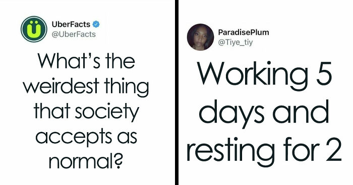 85 Funny Memes To Give Your Brain A Well-Deserved Mini Vacation