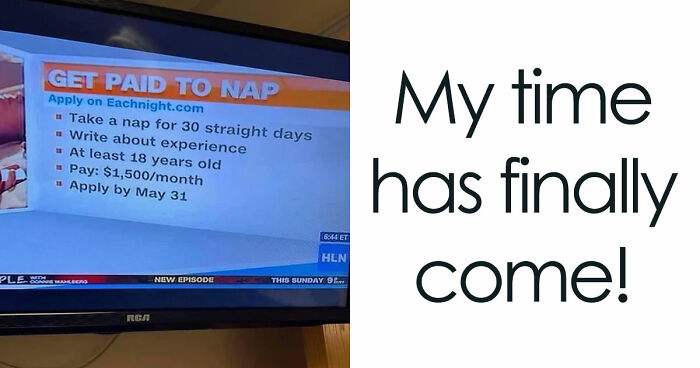 85 Funny Memes To Give Your Brain A Well-Deserved Mini Vacation