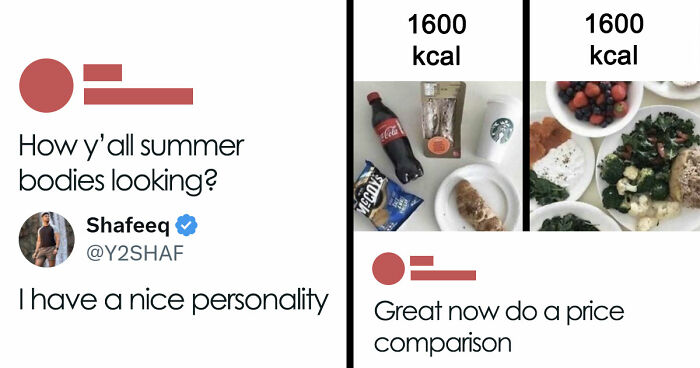 85 Funny Memes To Give Your Brain A Well-Deserved Mini Vacation