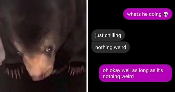 Thousands Of People Love This Page’s Random Sense Of Humor, Here Are 99 Of Its Best Posts