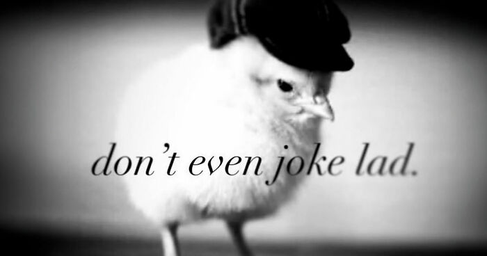 Thousands Of People Love This Page’s Random Sense Of Humor, Here Are 99 Of Its Best Posts