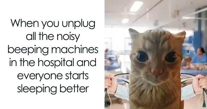 85 Random Memes To Crack You Up And Make Your Day Better