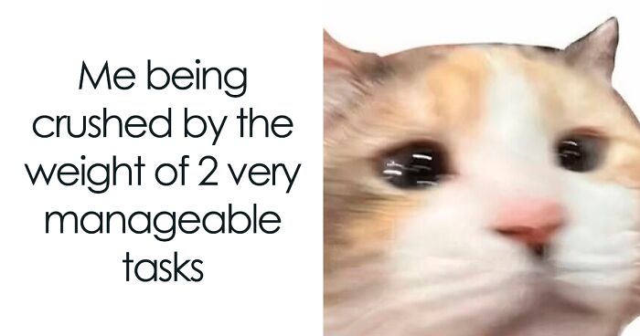 85 Random Memes To Crack You Up And Make Your Day Better