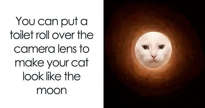85 Random Memes To Crack You Up And Make Your Day Better