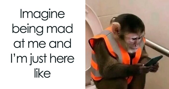 85 Random Memes To Crack You Up And Make Your Day Better